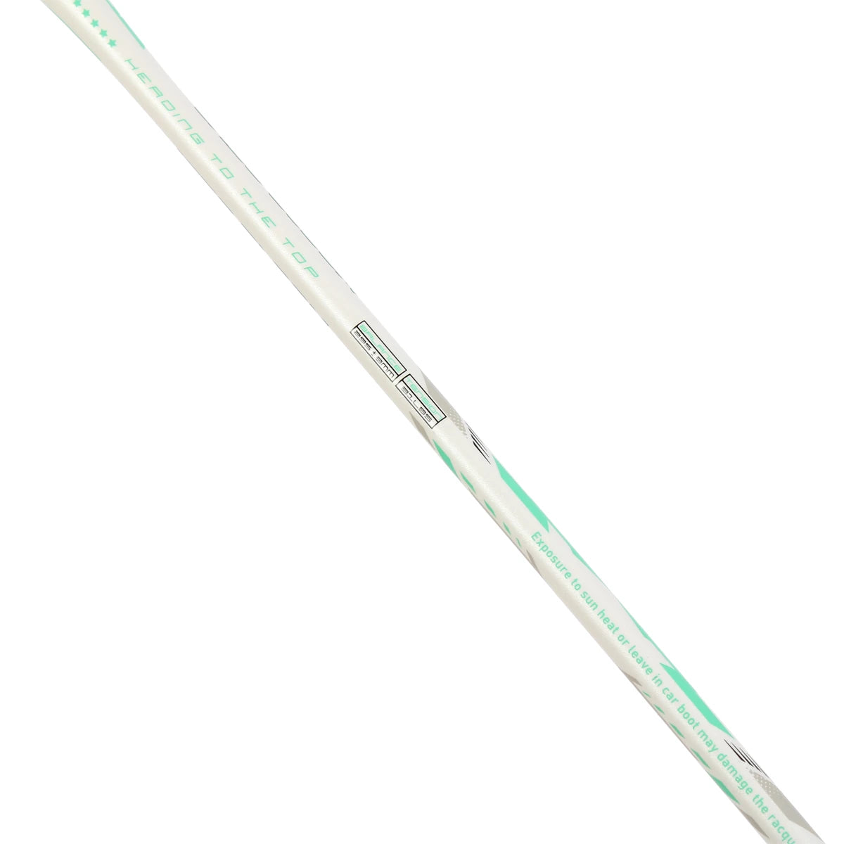 RAQUETTE DE BADMINTON FELET BLOOM JADE (CORDEE)