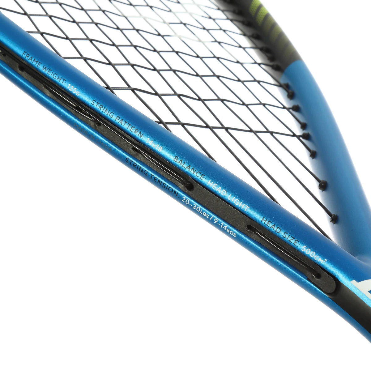 DUNLOP FX TEAM 125 SQUASH RACQUET (STRUNG)