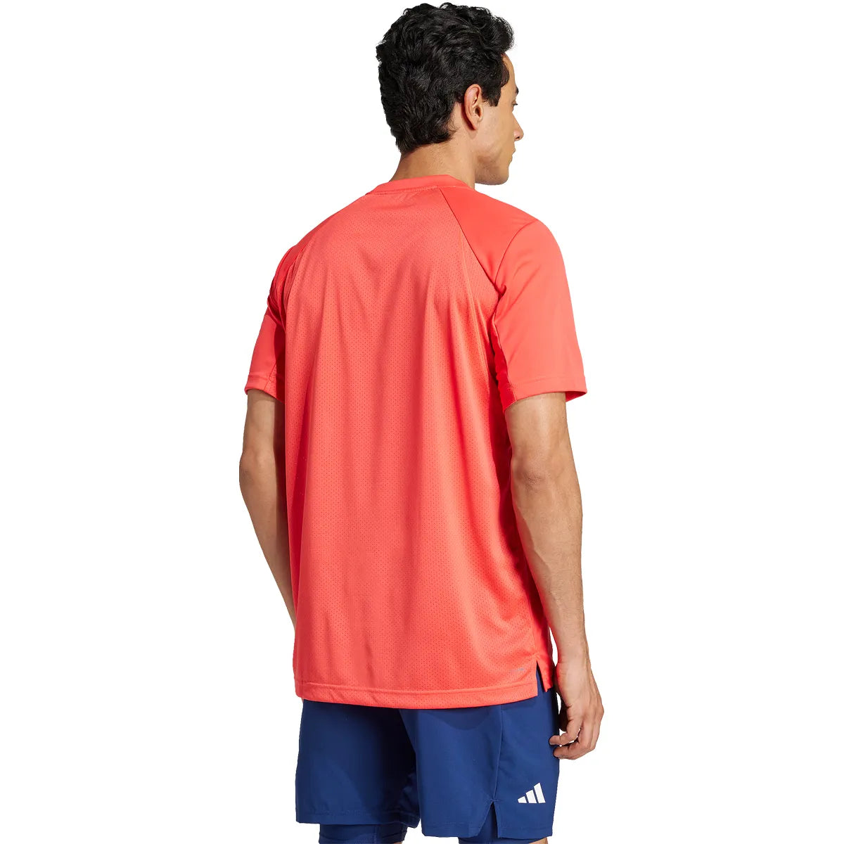 ADIDAS CLUB LOGO T-SHIRT