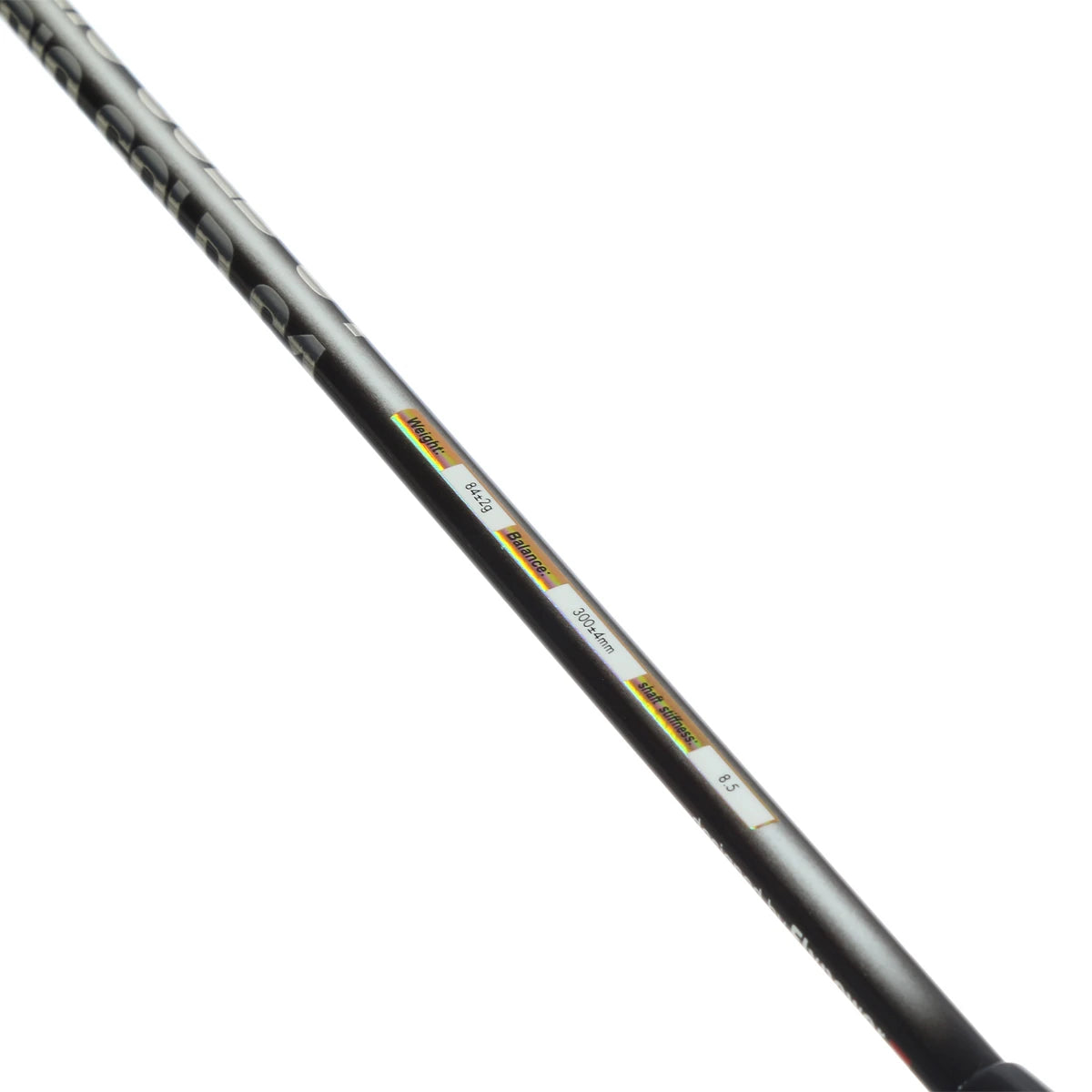 RAQUETTE DE BADMINTON FLYPOWER RIO GOLD C1
