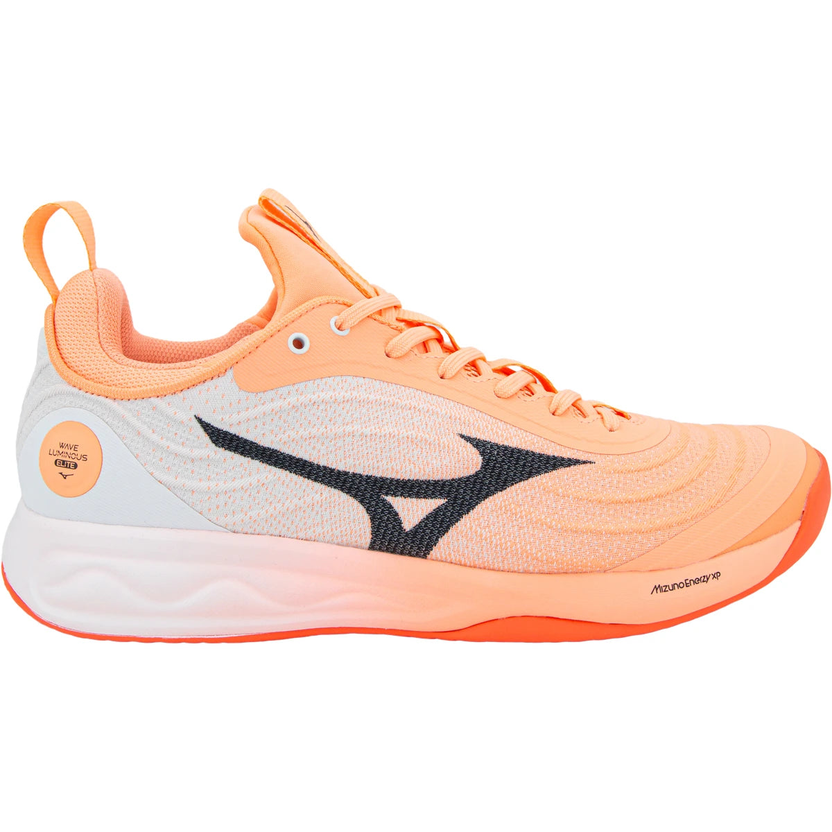Chaussures Mizuno Homme Indoor Wave Luminous Elite