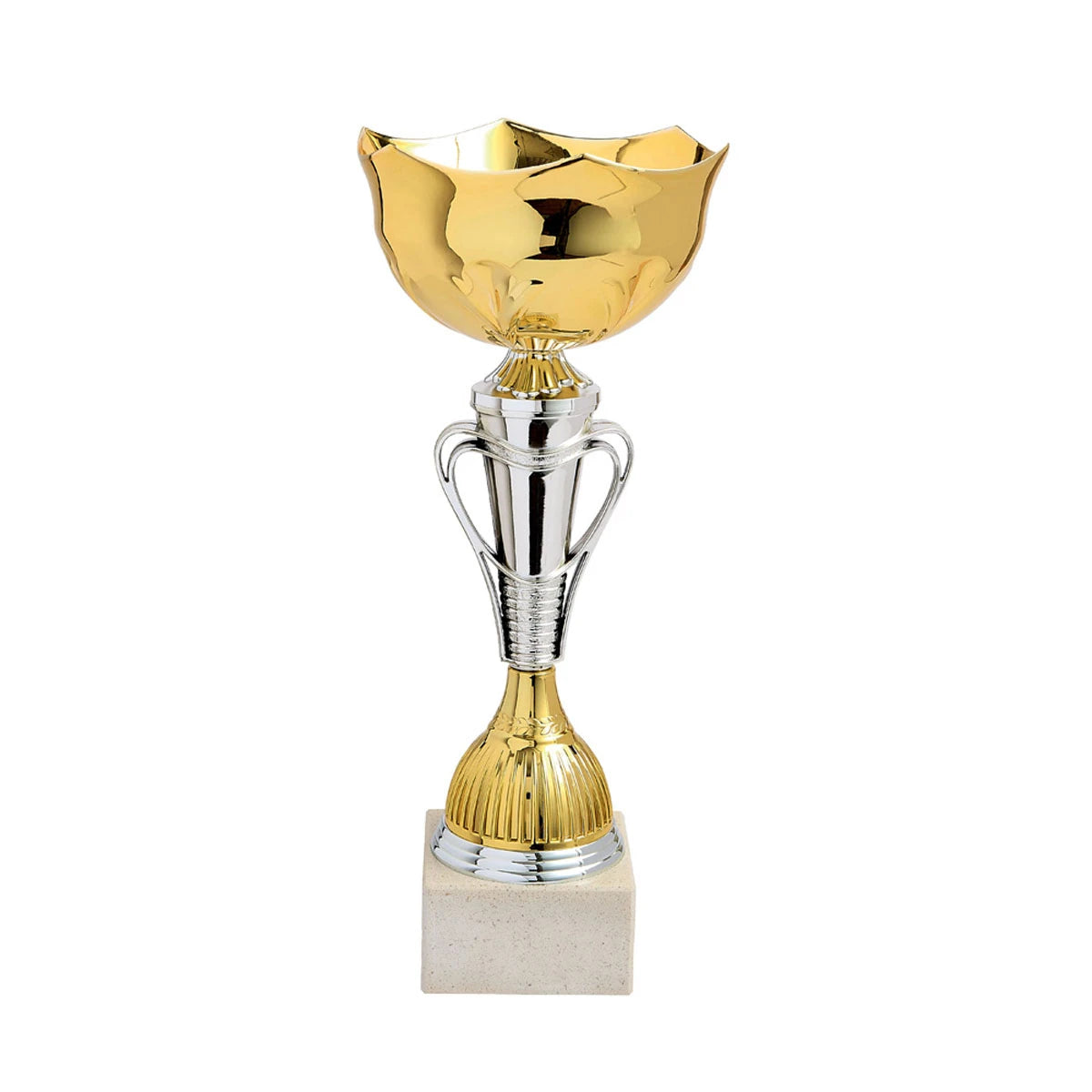 LOT DE 6 COUPES LT625