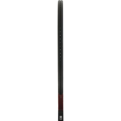 RAQUETTE HEAD PRESTIGE PRO (320 GR)