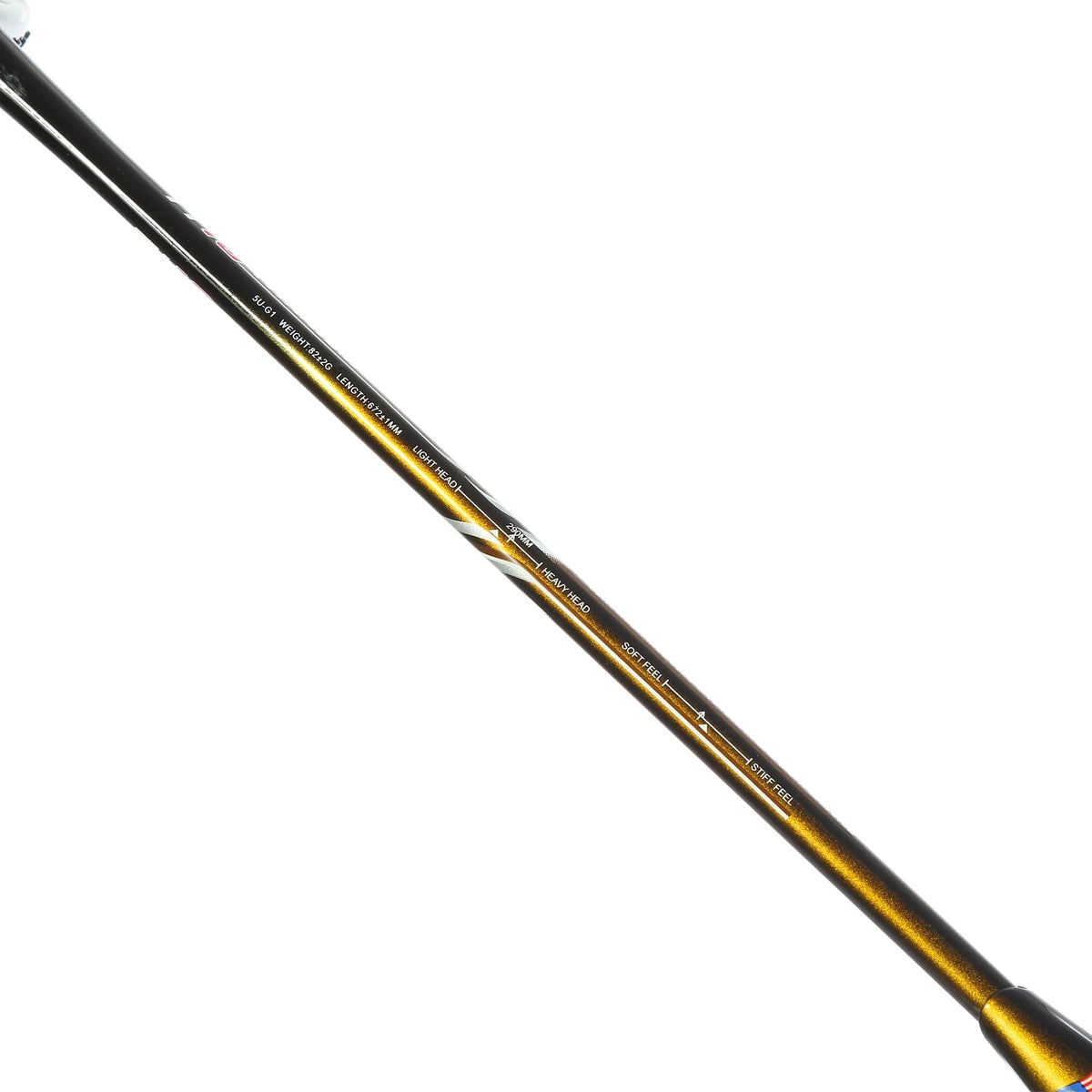 RAQUETTE DE BADMINTON FLEX POWER TITANIUM 10 5U