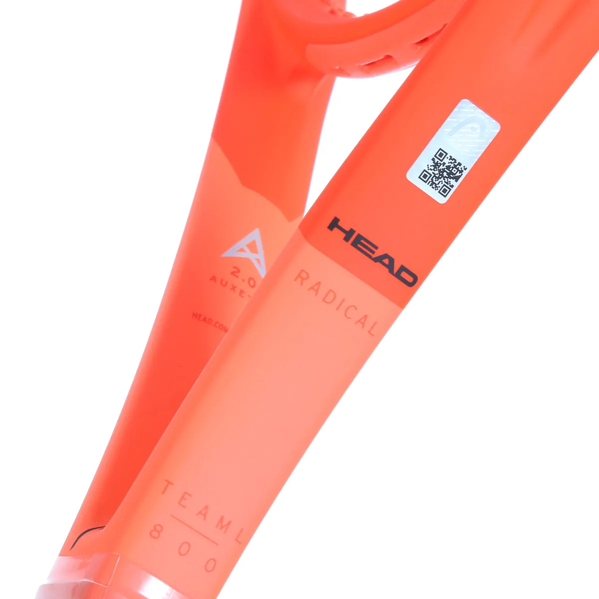 RAQUETTE HEAD RADICAL TEAM L (260 GR) (CORDEE)