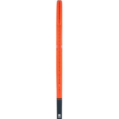 RAQUETTE HEAD RADICAL PRO (315 GR)