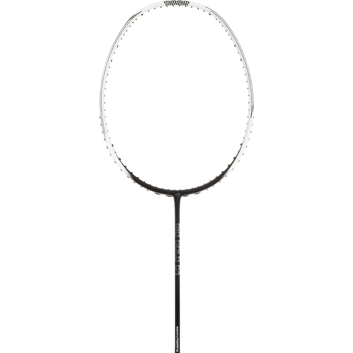 RAQUETTE DE BADMINTON FLYPOWER RIO GOLD C1