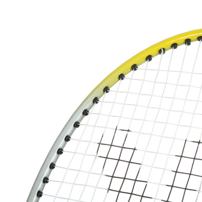 VICFUN TGX BADMINTONSCHLÄGER (GESAITET)