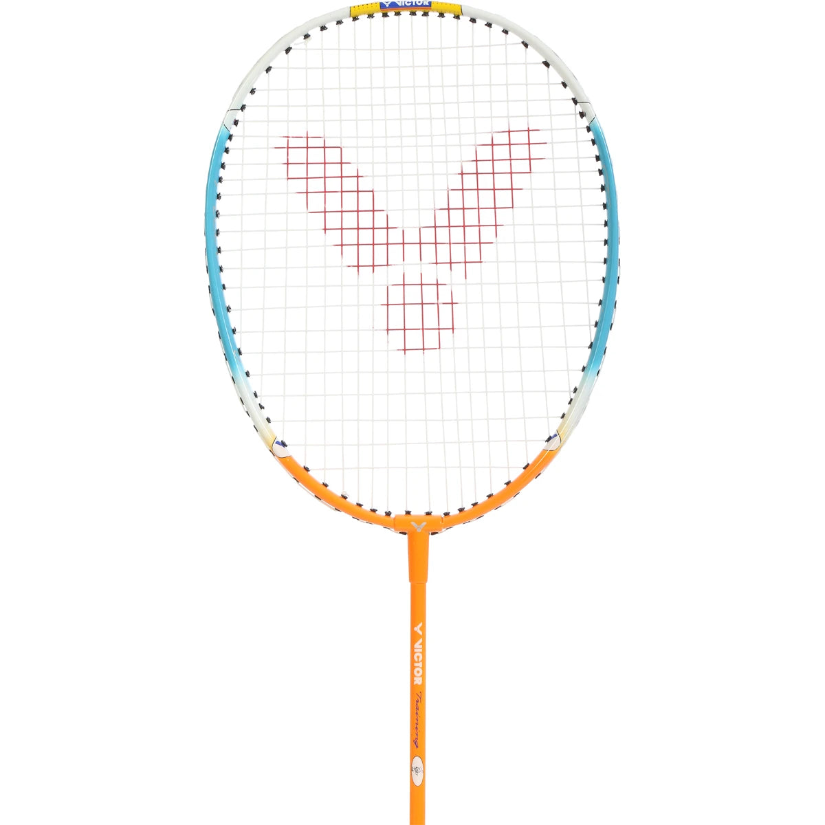 RAQUETTE DE BADMINTON VICTOR TRAINING (CORDEE)