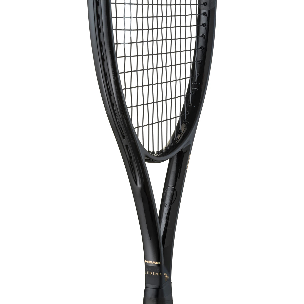 Raquette Test Head Speed Pro Legend 2026 (310 GR)