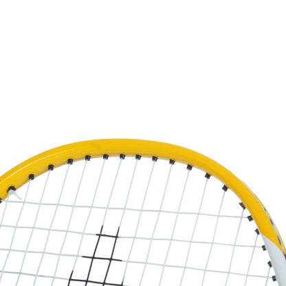 RAQUETTE DE BADMINTON KARAKAL PURE POWER 10 (CORDEE)