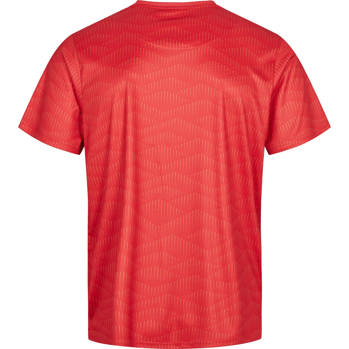 RSL T-SHIRT HERREN LEONARDO
