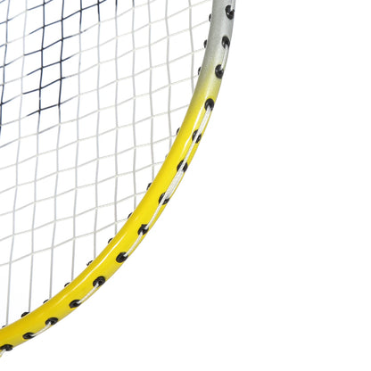 VICFUN TGX BADMINTONSCHLÄGER (GESAITET)