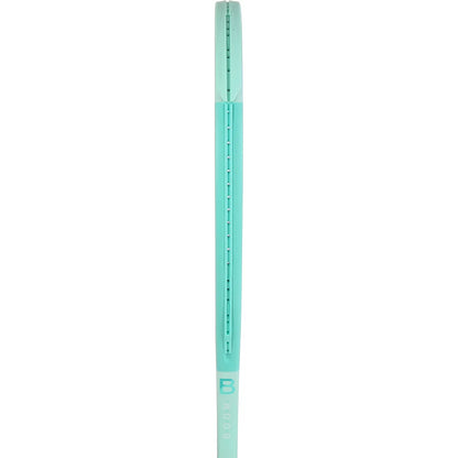 RAQUETTE HEAD BOOM TEAM L ALTERNATE (260 GR)