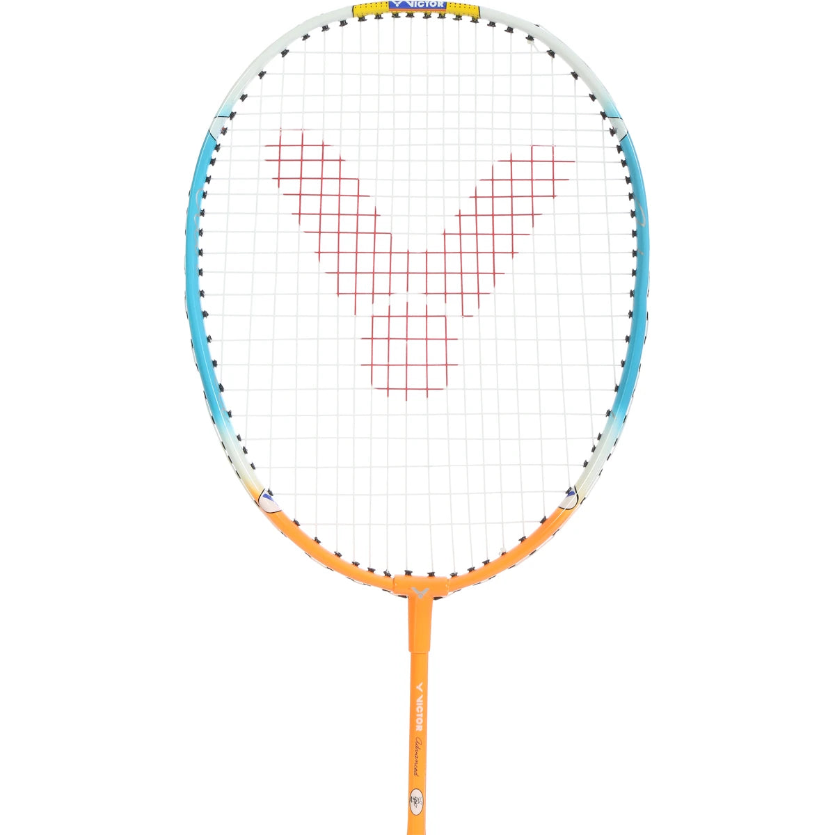 RAQUETTE DE BADMINTON VICTOR ADVANCED (CORDEE)