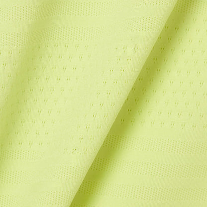 POLO LACOSTE SPIELER AUF DEM PLATZ GRAFISCH