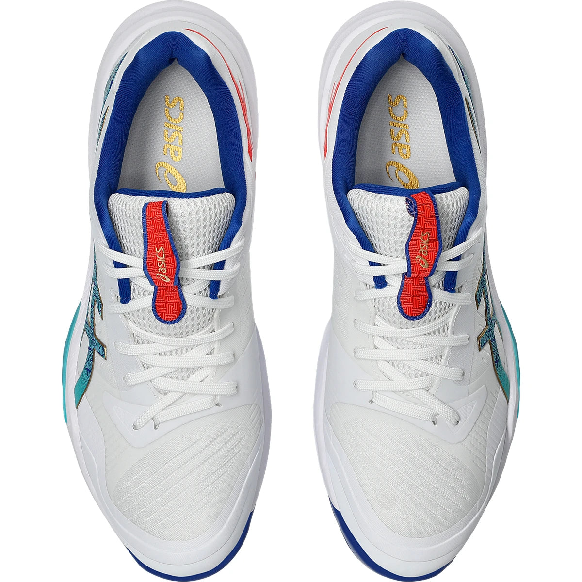 ASICS MEN'S INDOOR SHOES SKY ELITE FF 3 TBC