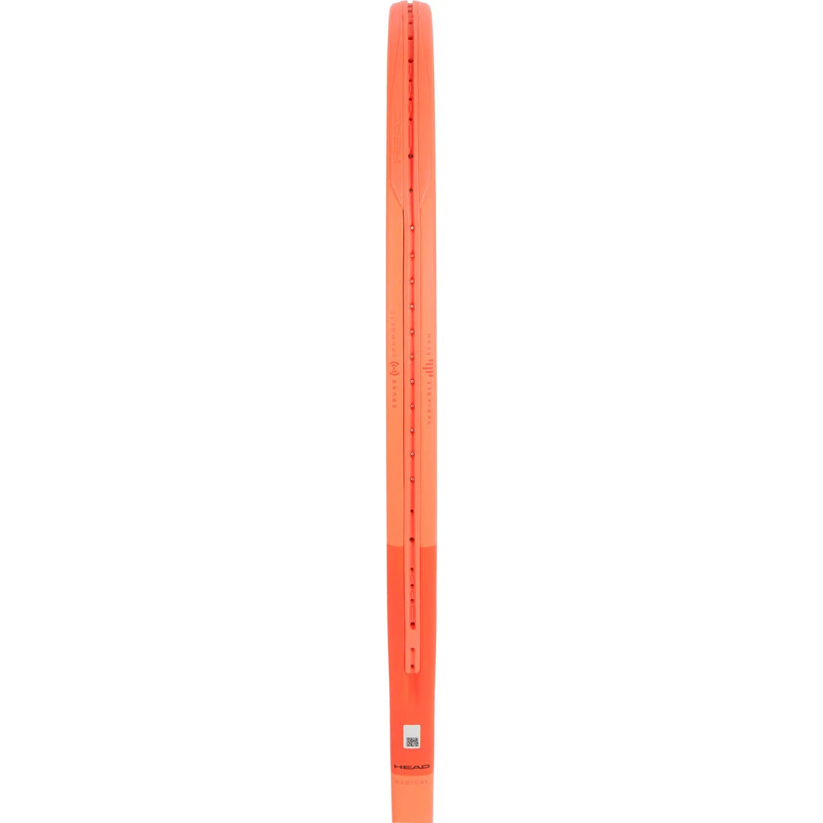 RAQUETTE HEAD RADICAL TEAM (280 GR) (CORDEE)