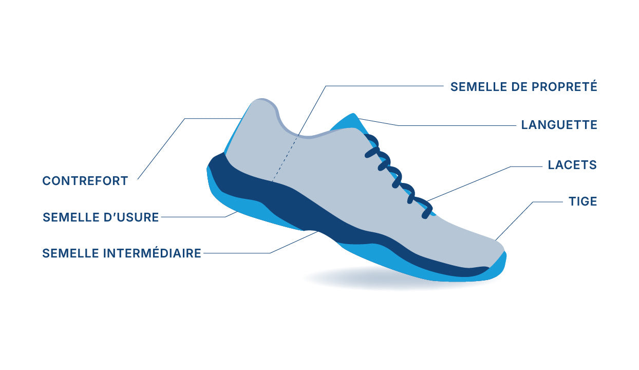 Schéma présentant l'anatomie d'une chaussure de badminton