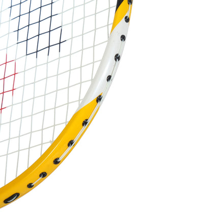 RAQUETTE DE BADMINTON KARAKAL PURE POWER 10 (CORDEE)