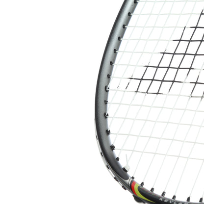RAQUETTE DE BADMINTON PRO KENNEX DESTINY CONTROL S/G/O (CORDEE)