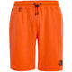SHORT WATTS VENICE -S