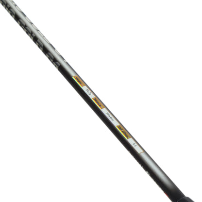 RAQUETTE DE BADMINTON FLYPOWER RIO GOLD C1