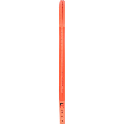 RAQUETTE HEAD RADICAL PRO (315 GR)