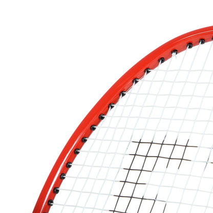 RAQUETTE DE BADMINTON FORZA PLAY 500 SENIOR (CORDEE)