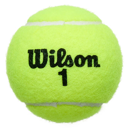 TUBE DE 4 BALLES WILSON CHAMPIONSHIP