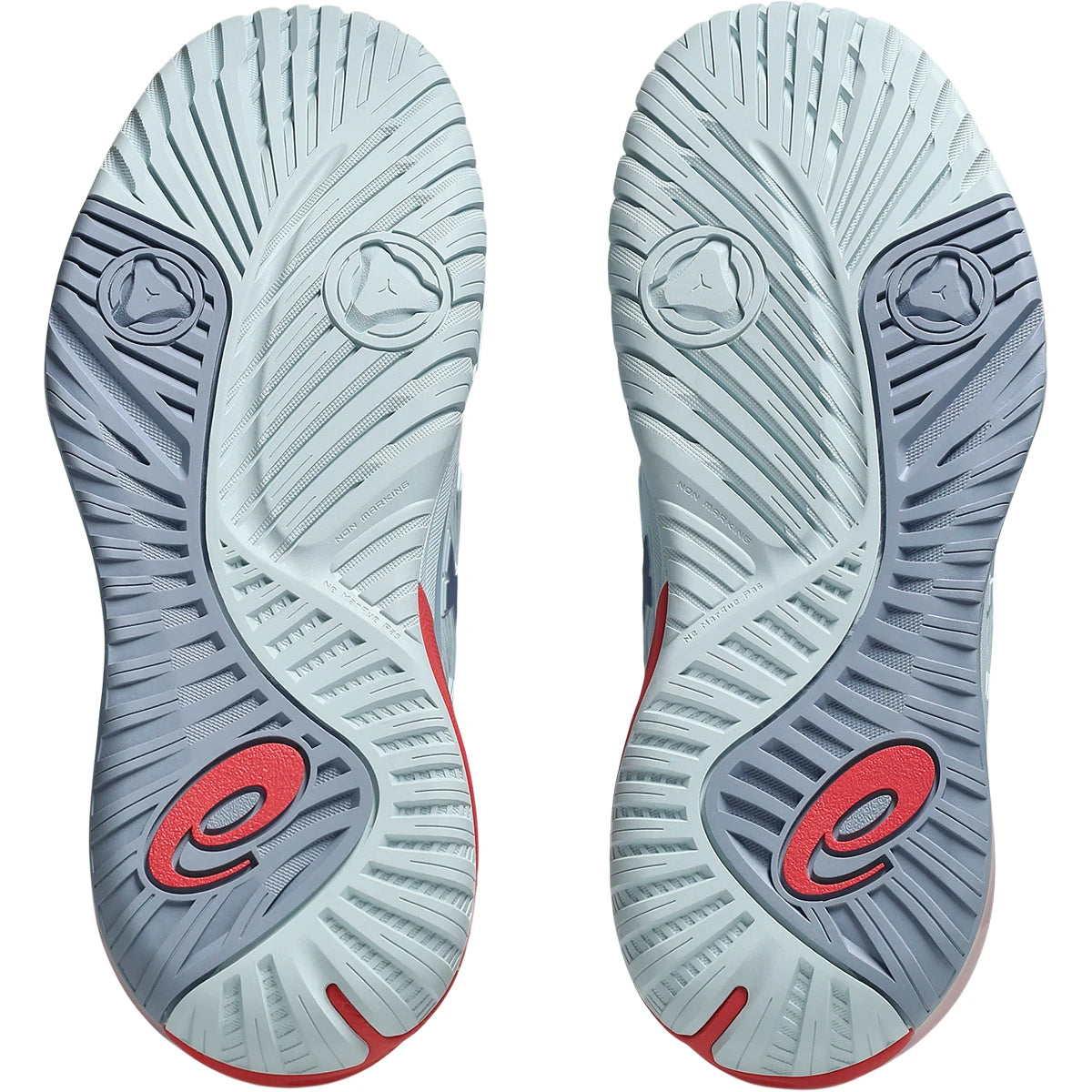 CHAUSSURES ASICS FEMME GEL RESOLUTION X TOUTES SURFACES