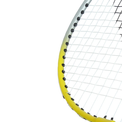 VICFUN TGX BADMINTONSCHLÄGER (GESAITET)