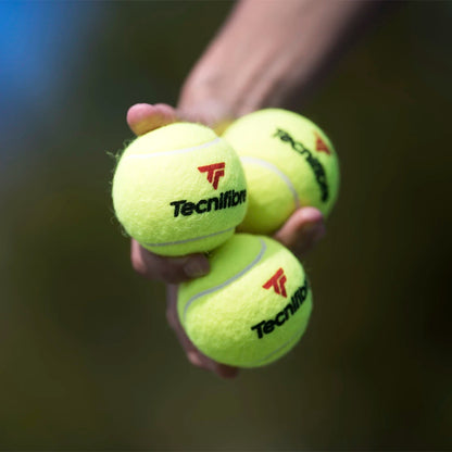 CARTON DE 36 TUBES DE 4 BALLES TECNIFIBRE X-ONE
