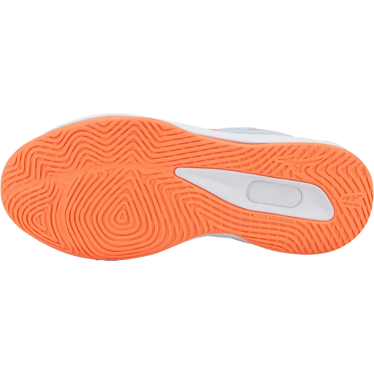 CHAUSSURES MIZUNO FEMME INDOOR WAVE LUMINOUS PRO