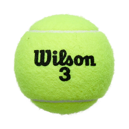 ROHR MIT 4 WILSON ROLAND GARROS ALL COURT BÄLLEN
