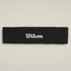 WILSON LOGO BANNER