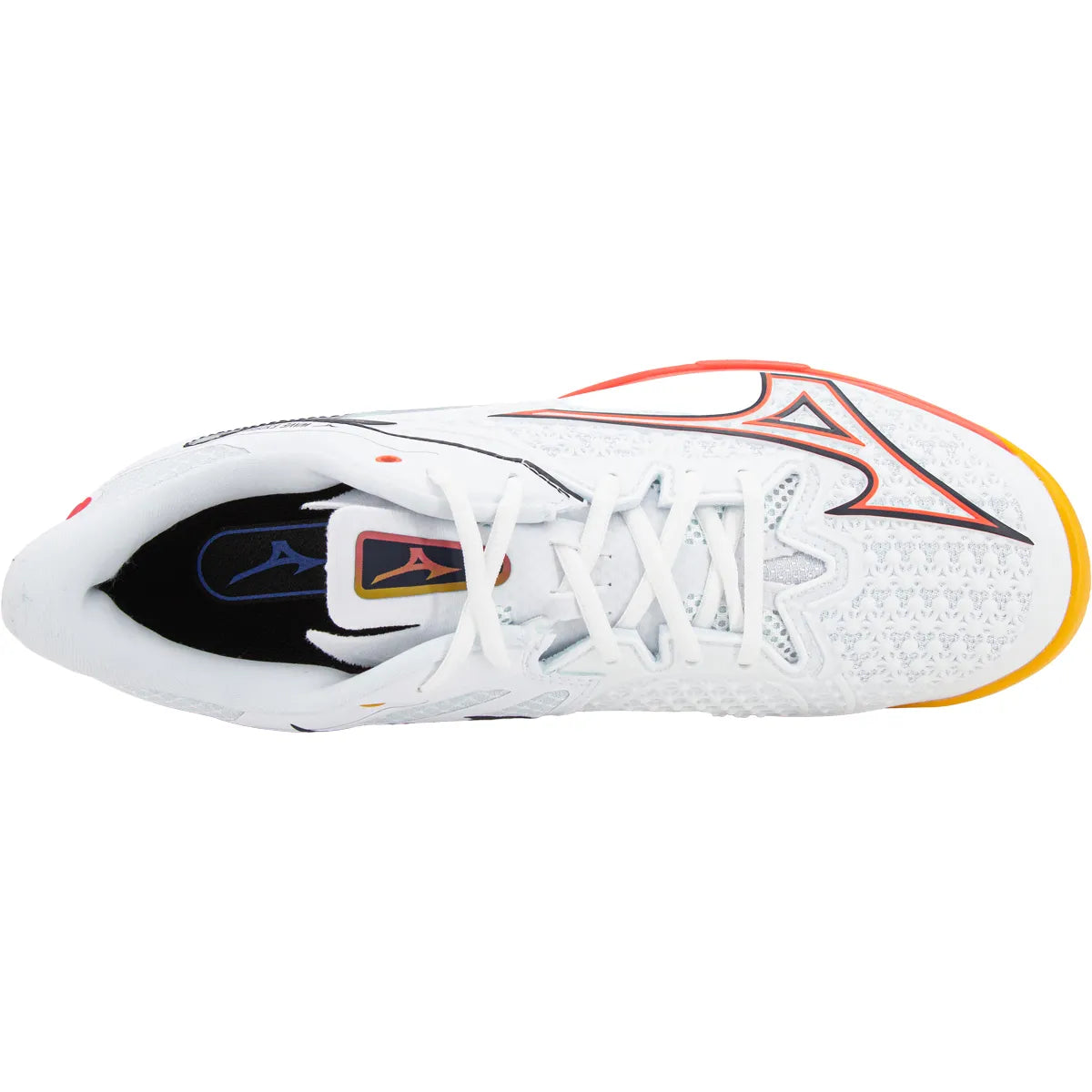 MIZUNO WAVE EXCEED TOUR 6 CLAY COURT SHOES