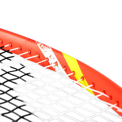 RAQUETTE TECNIFIBRE T-FIGHT 300S IG (300 GR)