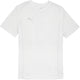 T-SHIRT PUMA CASUAL TEAM FINAL
