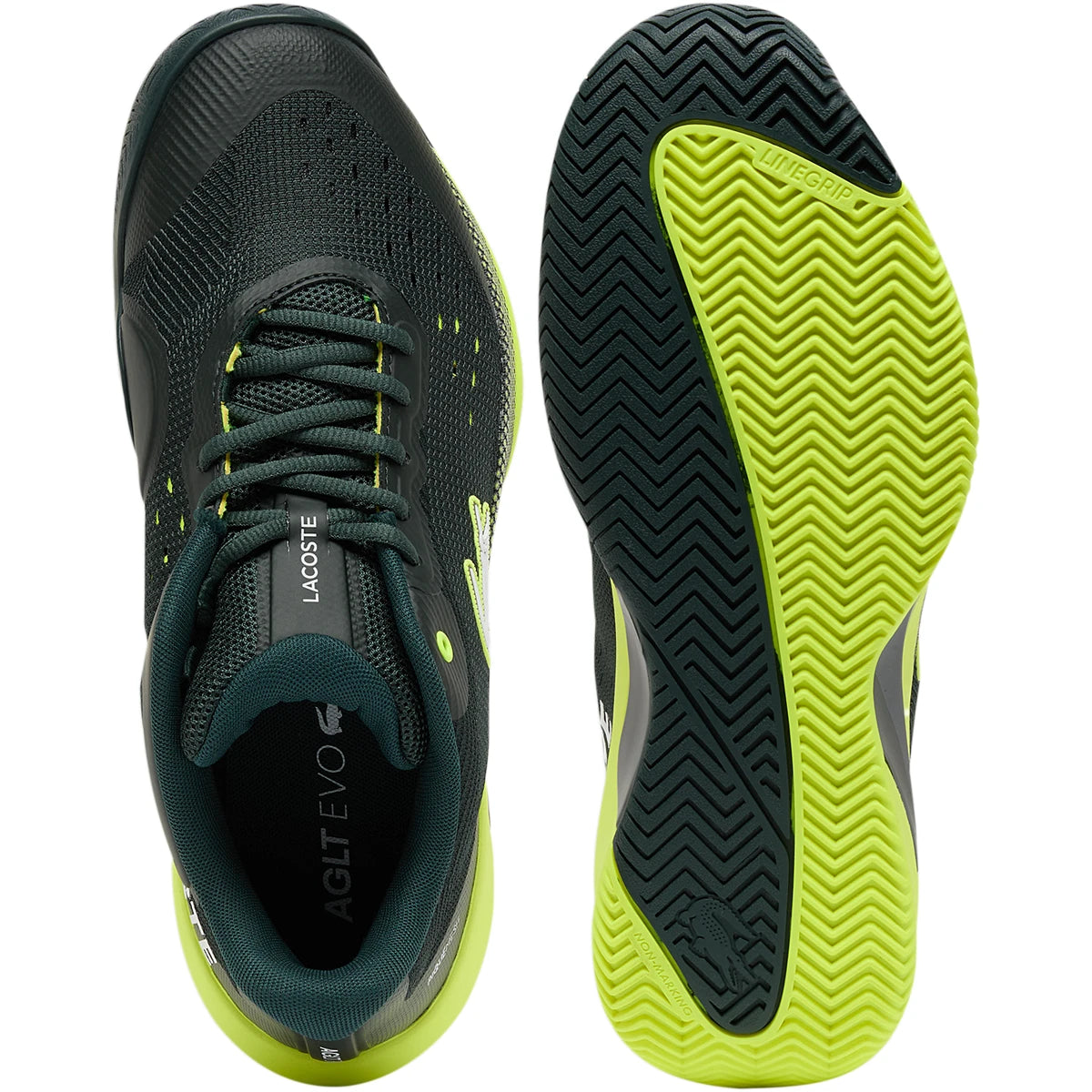CHAUSSURES LACOSTE AG-LT EVO TOUTES SURFACES