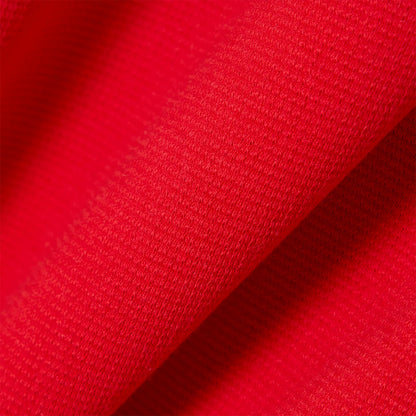 POLO LACOSTE CORE PERFORMANCE OTTOMAN REGULAR FIT