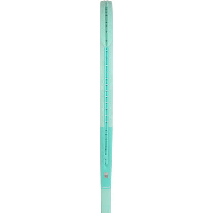 RAQUETTE HEAD BOOM TEAM L ALTERNATE (260 GR)