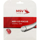 MSV CO FOCUS BESAITUNG (12 METER)