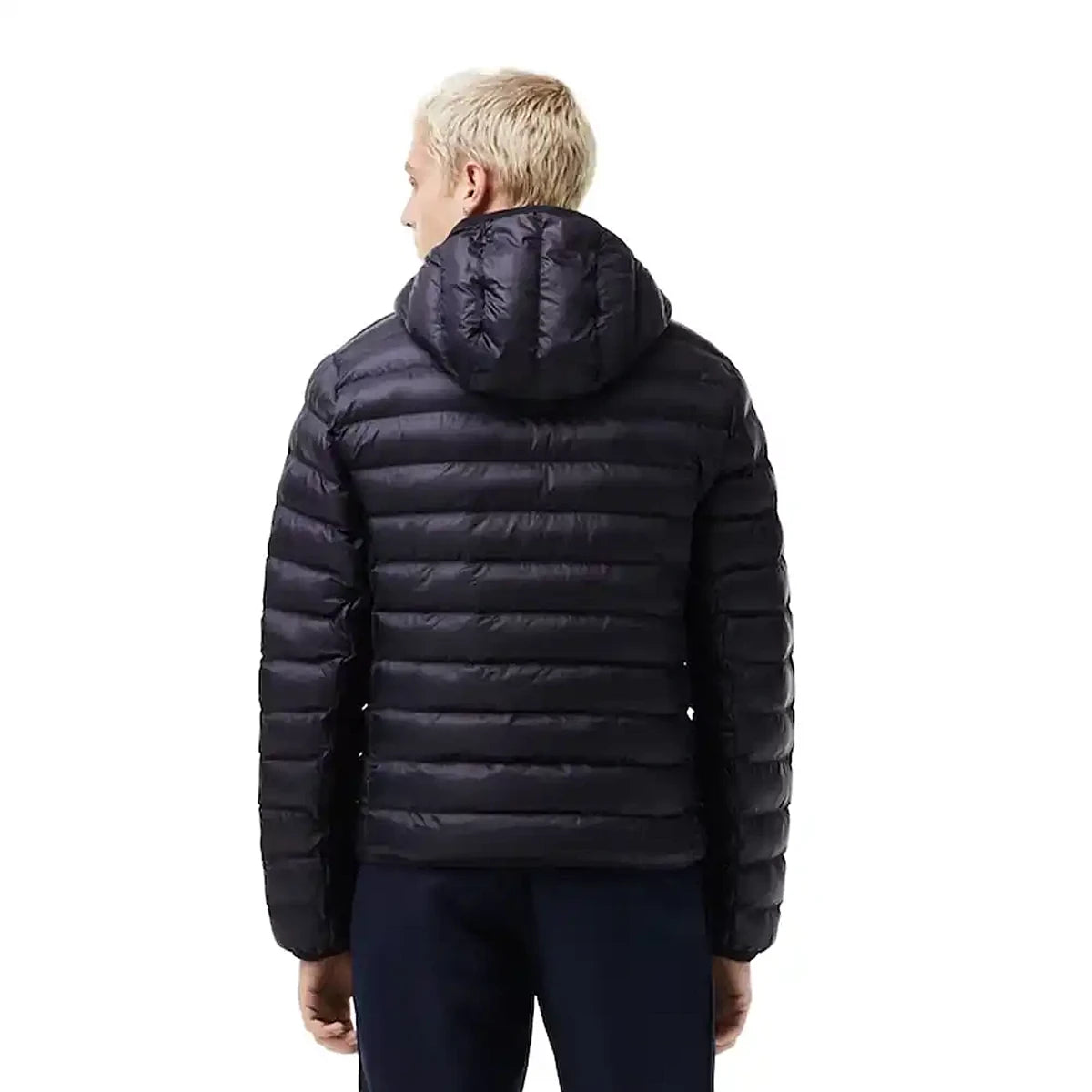 BLOUSON LACOSTE